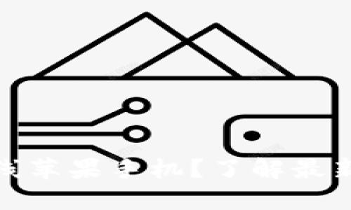 TP钱包何时能上线苹果手机？了解最新动态与用户期待