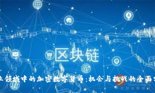 商业领域中的加密数字货币：机会与挑战的全面分析