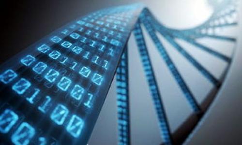 

数字货币利息计算方法详解及影响因素分析