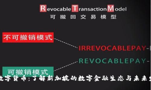 新加坡数字货币：了解新加坡的数字金融生态与未来发展趋势