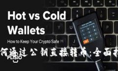 TP钱包如何通过公钥直接转币：全面指南与FAQ