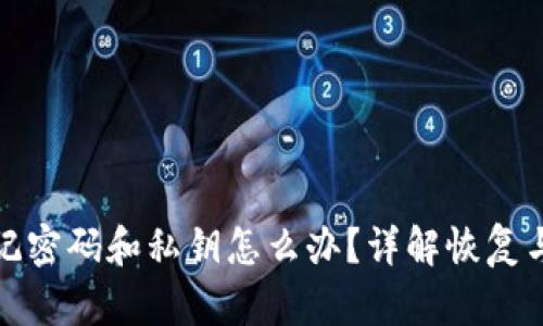 TP钱包忘记密码和私钥怎么办？详解恢复与安全策略