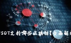 TP钱包中的USDT支持哪些区块链？全面解析及使用