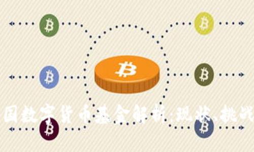 全球各国数字货币基金解析：现状、挑战与未来