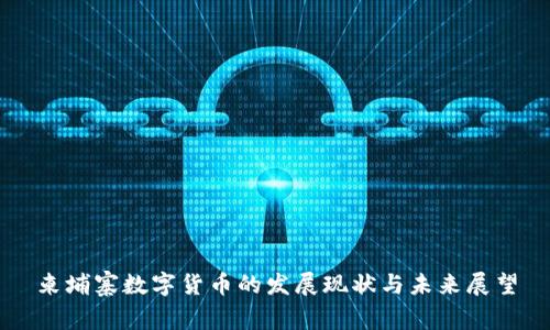 柬埔寨数字货币的发展现状与未来展望