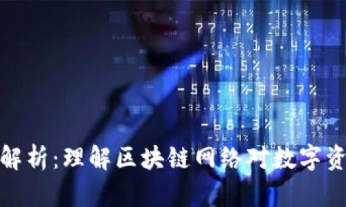 TP钱包中的网络解析：理解区块链网络对数字资产管理的重要性