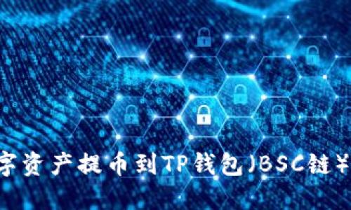 如何将数字资产提币到TP钱包（BSC链）？详细指南