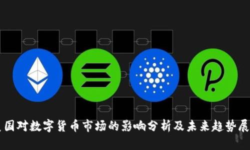 美国对数字货币市场的影响分析及未来趋势展望