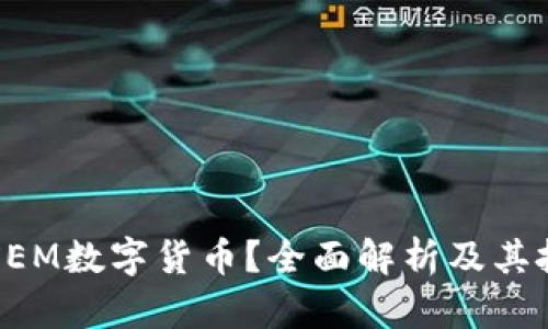 什么是XEM数字货币？全面解析及其投资价值
