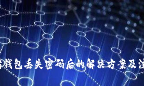  以太坊钱包丢失密码后的解决方案及注意事项