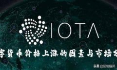 数字货币价格上涨的因素与市场分析
