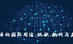 数字货币的国际用途：现状、挑战与未来展望
