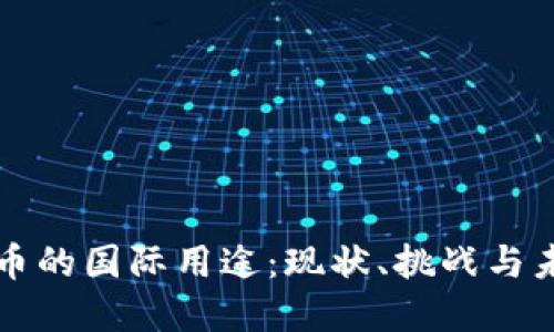 数字货币的国际用途：现状、挑战与未来展望