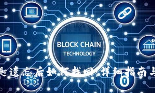 TP钱包钥匙遗忘后如何找回：详细指南与步骤解析