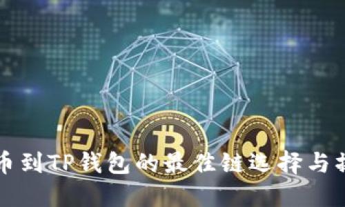 BZZ提币到TP钱包的最佳链选择与操作指南