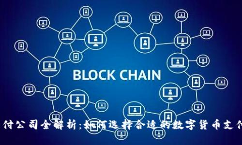 数字货币支付公司全解析：如何选择合适的数字货币支付解决方案？