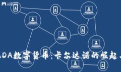 深入了解ADA数字货币：卡尔达诺的崛起与未来潜