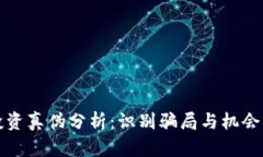 数字货币投资真伪分析：识别骗局与机会的终极