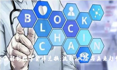 全面解析数字货币兑换：流程、风险与未来趋势