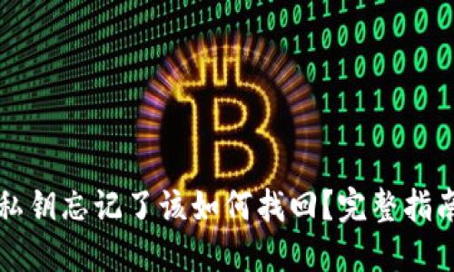 TP钱包私钥忘记了该如何找回？完整指南与对策