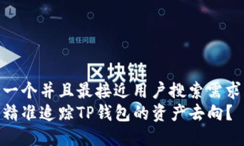 思考一个并且最接近用户搜索需求的  
如何精准追踪TP钱包的资产去向？