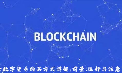 
盘古数字货币购买方式详解：前景、选择与注意事项