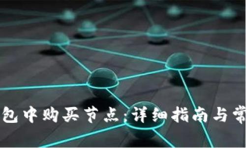 如何在TP钱包中购买节点：详细指南与常见问题解析