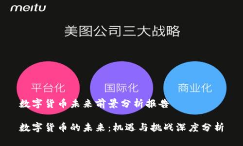 数字货币未来前景分析报告

数字货币的未来：机遇与挑战深度分析