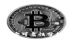 TP钱包软件的真实可靠性分析：是正规平台吗？