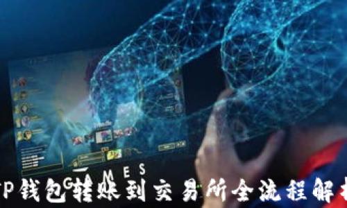 
TP钱包转账到交易所全流程解析